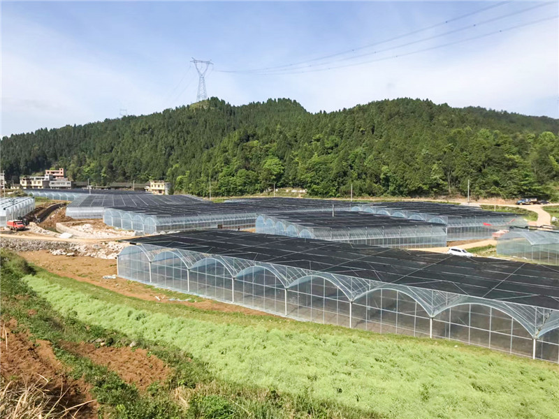 無土栽培,，無土栽培技術(shù),，無土栽培設(shè)備