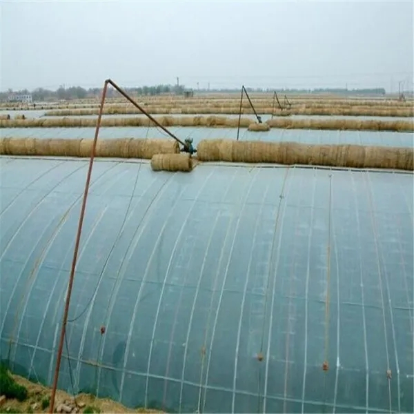 無土栽培,，無土栽培技術(shù),，無土栽培設(shè)備